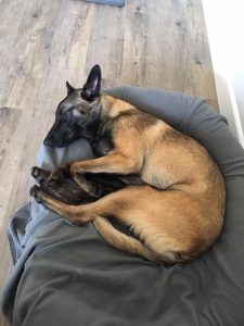 18194789 10212532413806569 8302983900352842940 n