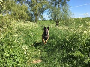 18195044 10212532413926572 7813983284193124944 n