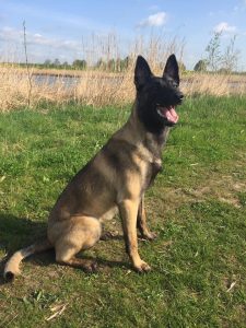 18221998 10212532413886571 2601520480914402124 n 1