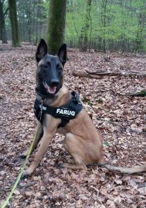 18238034 1019152131548022 1301380907862525045 o