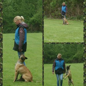 18402340 1334876543271302 1710520977273003363 o