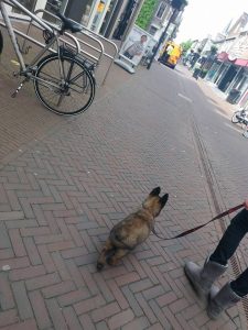 18485553 1886838421584128 366369203975697908 n