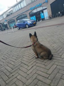 18485595 1886838458250791 3469696600085930590 n