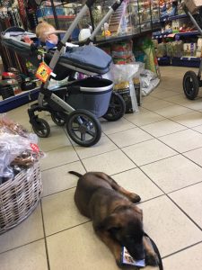 18519450 1806273452716927 419603448817545689 n