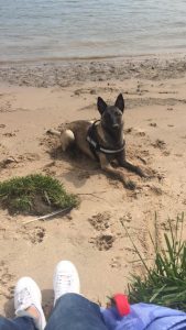 18556098 10212710663942711 336142739623696832 n