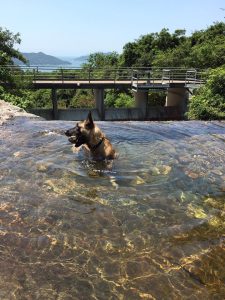 18698442 1969334743288496 3640942316369780294 n 1