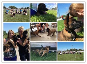 18698480 1820220147988924 3886431392901293703 n 1