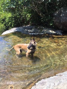 18767870 1969334739955163 7489220783347107989 n