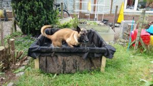 18768218 1033849563411612 6870491188382288609 o