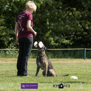 18882168 1455281267866453 292485066570849407 n