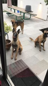 18952932 1974045839484053 8189706516024473990 n