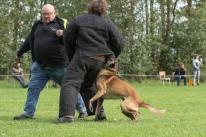 19-oktober-201913199