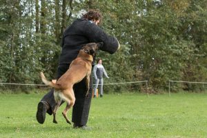 19-oktober-201913206