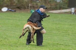 19-oktober-201913645