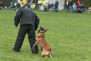 19-oktober-201913650