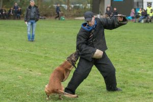 19-oktober-201913658