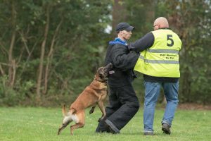 19-oktober-201913669