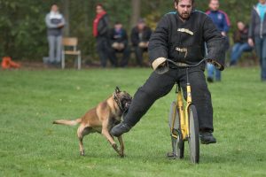 19-oktober-201914141