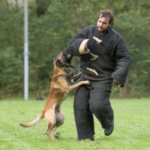 19-oktober-201914153