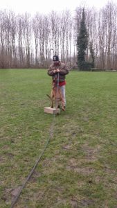 1908175 685684798219227 603371857515153728 n 1