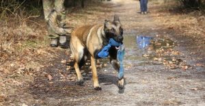 1912196 636800853033877 364800362 n