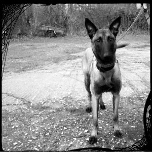 1917008 940485102710450 8389675906191680042 n