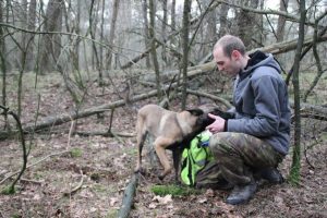 1926803 636800436367252 1406429730 n