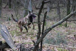 1932347 636800553033907 1889599382 n