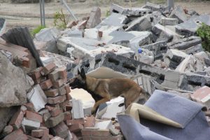 1932728 660306147350014 167752353699243381 o