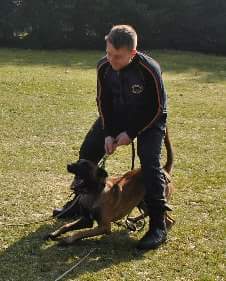 1934836 846520618808456 4048150871233639962 n