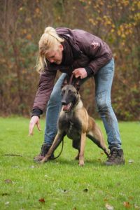 1937352 941247829300844 3439739608864338345 n