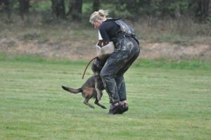 1937466 603532756424531 1212498732398308827 n