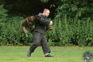 19402183 1478866458818521 6045695803420032487 o