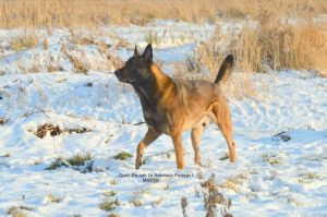 19405 102797349899210 1587285776 n Qadir