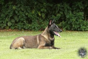 19417325 1478865458818621 8034676176017598421 o