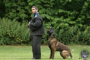 19441945 1478865862151914 7796643737442441670 o