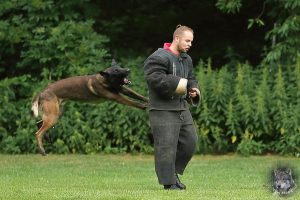 19452813 1478866408818526 2742668891662784963 o