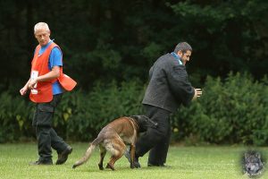 19453045 1478864365485397 8300395983417159642 o