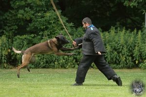 19467950 1478865725485261 667856952380355685 o