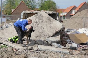 1979949 660305990683363 5583083516413104818 o