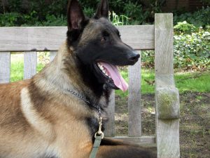 19 mei 942266 308676932598621 546099214 n