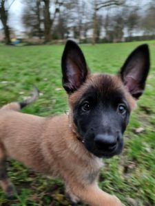 20220124 120925 1 1 1 (1) (1) (1)