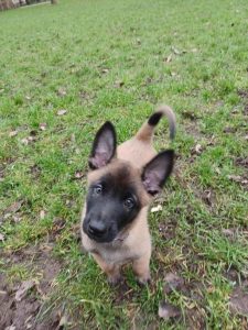 20220124 1209370 2 (1) (1) (1)