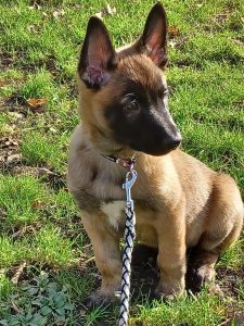 20220130 125055 (1) (1) (1)