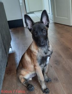 20220312 120653 (1) (1) (1)