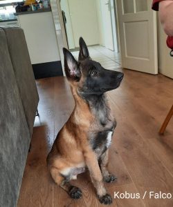 20220312 120655 (1) (1) (1)