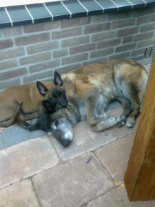 205322 157339834398999 761010656 n