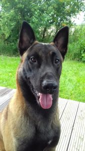 20729564 1453952748032880 5187026232344174733 n