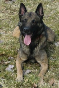 21335 10151735841244467 1252646087 n