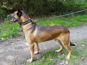 21765841 1478307702261201 6236220884229935953 o